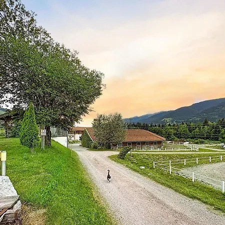 Edelweiss Deluxe 10 By Interhome Apartman *